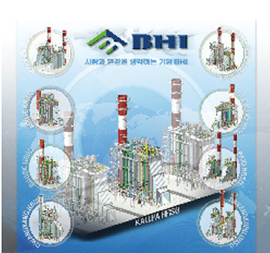 Heat Recovering Steam Generator