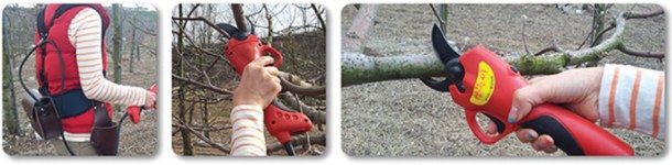Electric Pruner