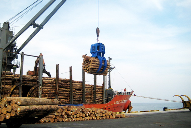 Engine-hydraulic-wood-grab