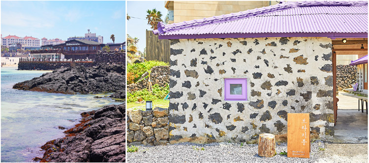 Delmoondo & Bora Roof