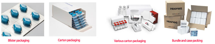 Hoong-A — Global Leader in the Automation Packaging